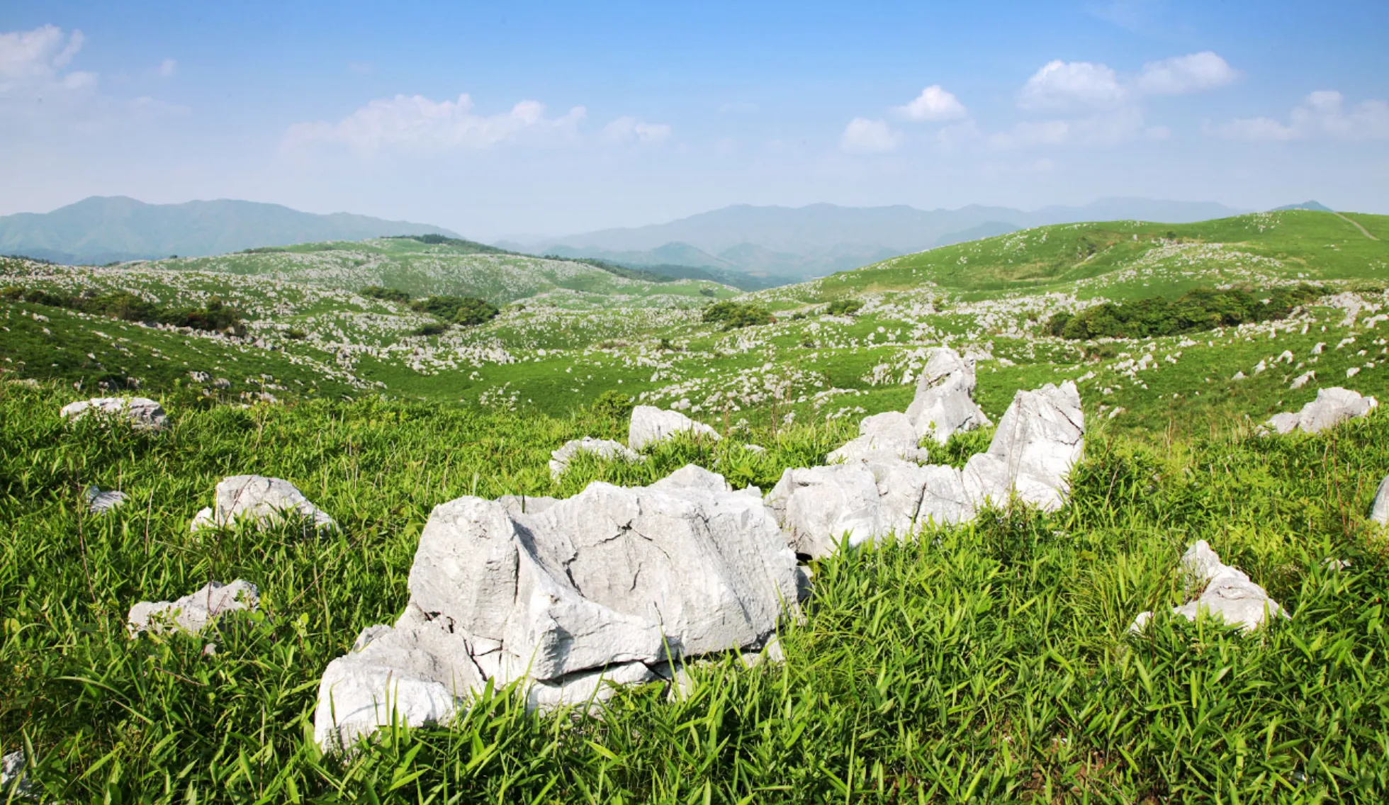 画像:秋吉台のカルスト台地